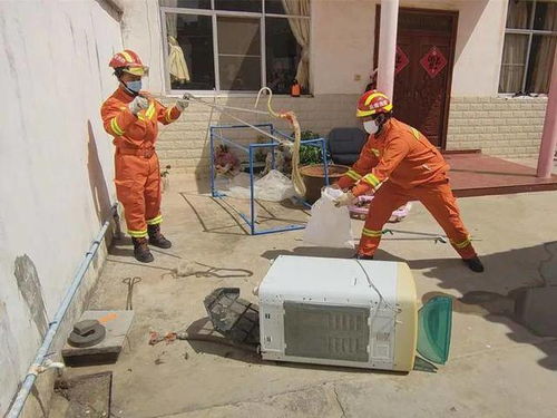 救援速递丨红河建水消防小麦厂村速擒扰民菜花蛇